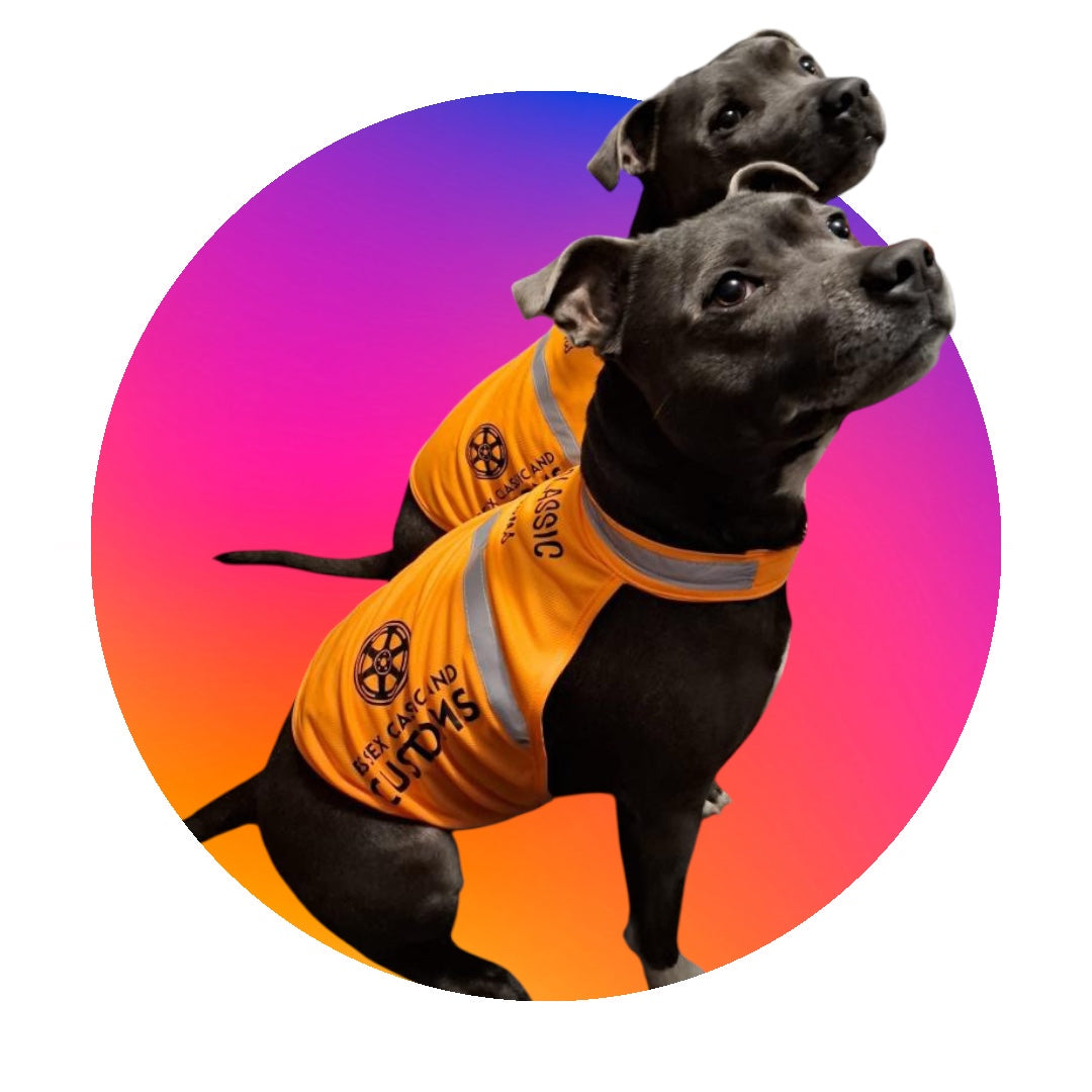 Essex Classic & Customs Official Dog HiVis
